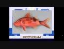【初投稿】暇なうp主とその友人が怪しい水族館行った【アクアリウムは踊らない】