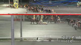 第47回ばんえいオークス ダイヤカツヒメ
