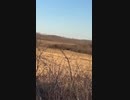 ウクライナ南部で撃墜されるロシア空軍 Ka-52