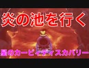 【カービィ】炎の池を行く『星のカービィディスカバリー』Part.29
