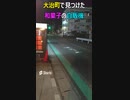 和菓子の自販機が現れた（Japanese WAGASHI sweets bender machine）#shorts