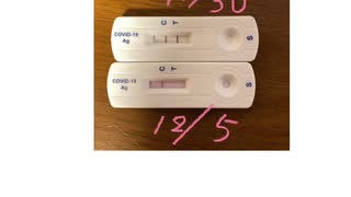 発熱から6日目、抗原検査やってみた