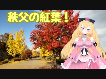 【日帰り観光】秩父の紅葉を見に行く！