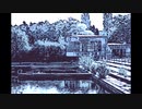 【NNIオリジナル】ARAU