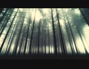 【NNIオリジナル】Misty Woods