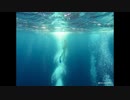 【NNIオリジナル】First Sea Experience