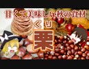 【ゆっくり解説】栗の栄養について解説！