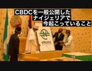 ファイザー社元副社長マイク・イェードン博士爆弾情報炸裂！ナイジェリアに続け！