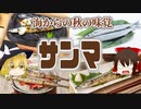 【ゆっくり解説】サンマの栄養について解説！