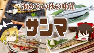 【ゆっくり解説】サンマの栄養について解説！