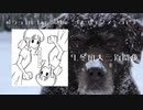 可ラッカ 1st album『ピリティヌーラ２』全曲クロスフェード