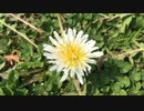 【オリジナル】すべては君がいるから