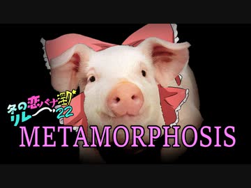 冬の恋バナ淫ク☆リレー企画'22 5日目「メタモルフォシス」
