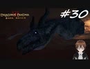 【実況】自分の心臓を取り返しに行くぞ!!【Dragon's Dogma: Dark Arisen】part30
