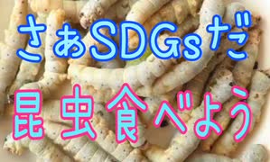さぁSDGsだ！コオロギ食べよう、グレートリセットも宜しくね
