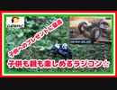 DEERC】ロッククローラー トイラジ侮れないね☆DEERC DE45