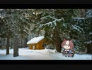 真冬のT.M.ごっこたぬき