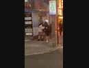 ホモと見る渋谷で悪質タックルする男