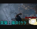 【実況】寄生虫がエルデンリングの世界にやってきたの　６５【初見プレイ】
