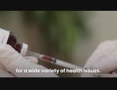 The Healing Collective Functional Medicine