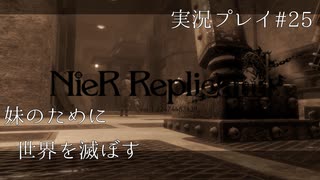 【ニーアレプリカント】誰かのために全てを滅ぼすPart25