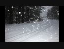 【NNIオリジナル】Snowfall