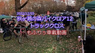 秋ヶ瀬バイクロア12　トラックロクロス　4位　車載動画