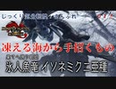 【MHRise:SB】第12回　凍える海から手招くもの　じっくり気分転換　モンスターハンターライズ:さんぶれ