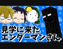 3人で世界を創れ!天地創造マインクラフト‐霊魂王国建国物語‐【番外編93】