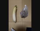 短期バイト８日目終了　帰宅後