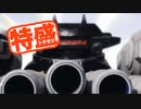 【MUGEN大祭】特盛りシングルトーナメント　Part90