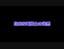 〈RO〉自由な竜騎士の徒然　～クリティカルの再誕～　ドラゴンナイト転職！クリティカル型がサーヴァントウェポンを使ってみた！