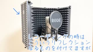 【比較動画】ゲーセンマイクとコンデンサーマイク比べてみた【豆のるり□】