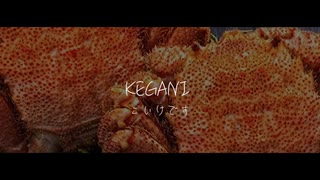 KEGANI こいけです。