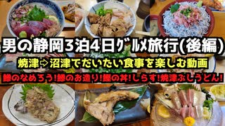 【静岡グルメ旅行】男の静岡3泊4日グルメ旅行③