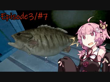 【The Long Dark #78】琴葉姉妹遭難したってよ【Episode3/#7】