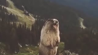 XephAAAAAAAAAAAAAAAAAAr