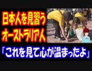 【海外の反応】 日本を 見習う オーストラリア人 ファンの姿に 現地から 感動の声！ 「よくやった」 「心が温まったよ」