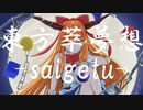 一生に一度の東方萃夢想-saigetu-【歌ってみた】