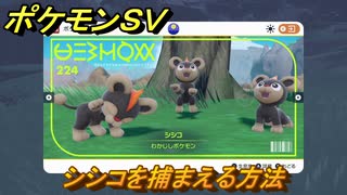 ポケモンＳＶ　シシコを捕まえる方法！出現場所は？図鑑No.２２４　ポケモン図鑑を埋めよう！　【スカーレット・バイオレット】