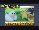ポケモンＳＶ　パチリスを捕まえる方法！出現場所は？図鑑No.２０１　ポケモン図鑑を埋めよう！　【スカーレット・バイオレット】