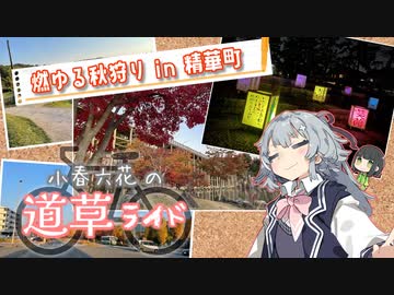【小春六花の道草ライド】燃ゆる秋狩り in 精華町