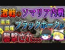 【ゆっくり解説】映画の題材にもなった本当の戦い...襲撃を受け墜落した仲間を助けるために動いた男達の実話「ブラックホークダウンモガディシュの戦闘」