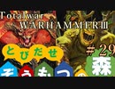 Total War:WARHAMMERⅢ】とびだせ ぞうもつの森！＃２９『対決スカルブランド』