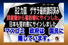 22/12/8朝　スイスにて11月末、82カ国ゲサラ誓約書に日本も調印済み。