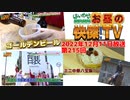 お昼の快傑TV215回1211_2022
