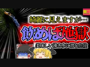 【2005年大分】子供たちを襲った地獄の症状 原因は美しく透き通った『水』？【ゆっくり解説】