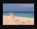 【NNIオリジナル】Island Time
