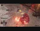 【エルデンリング】アプデ初日の遺灰共闘で脳筋エンジョイ闘技【闘技場動画】※ほぼ編集なし