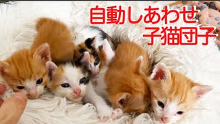 しあわせ子猫団子、自動運転で完成…!?